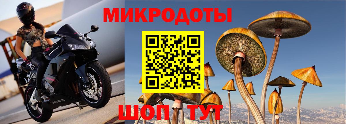 Галлюциногенные грибы мухоморы Тосно