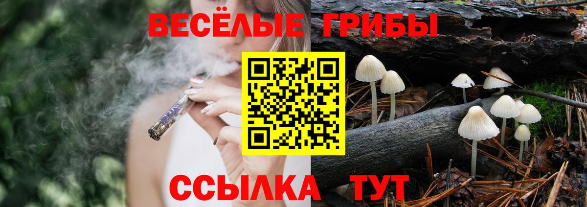 Тосно  Галлюциногенные грибы Magic Shrooms  Вход с VPN 